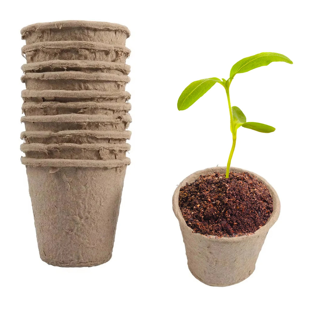 6/8cm Paper Pulp CultIvation Cup Biodegradable Seedling