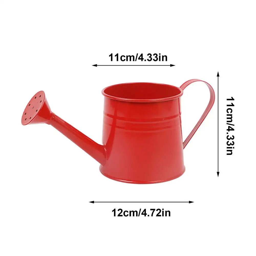 Small Watering Can For Indoor Plants 1L Long