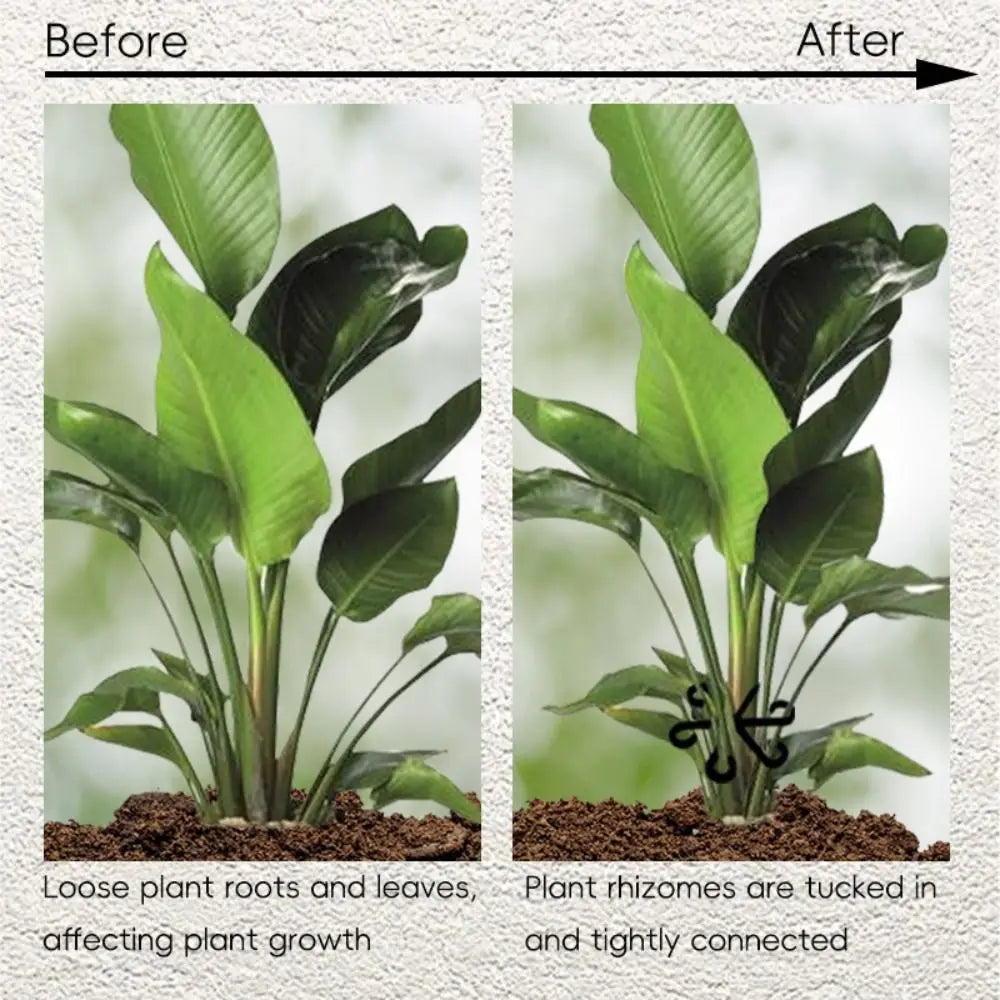 Reusable Plant Stem Folding Frame No Stake Trellis