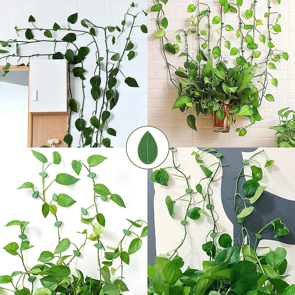 Invisible Plant Climbing Wall Fixture Clips 10-50Pcs — Plant Trellis