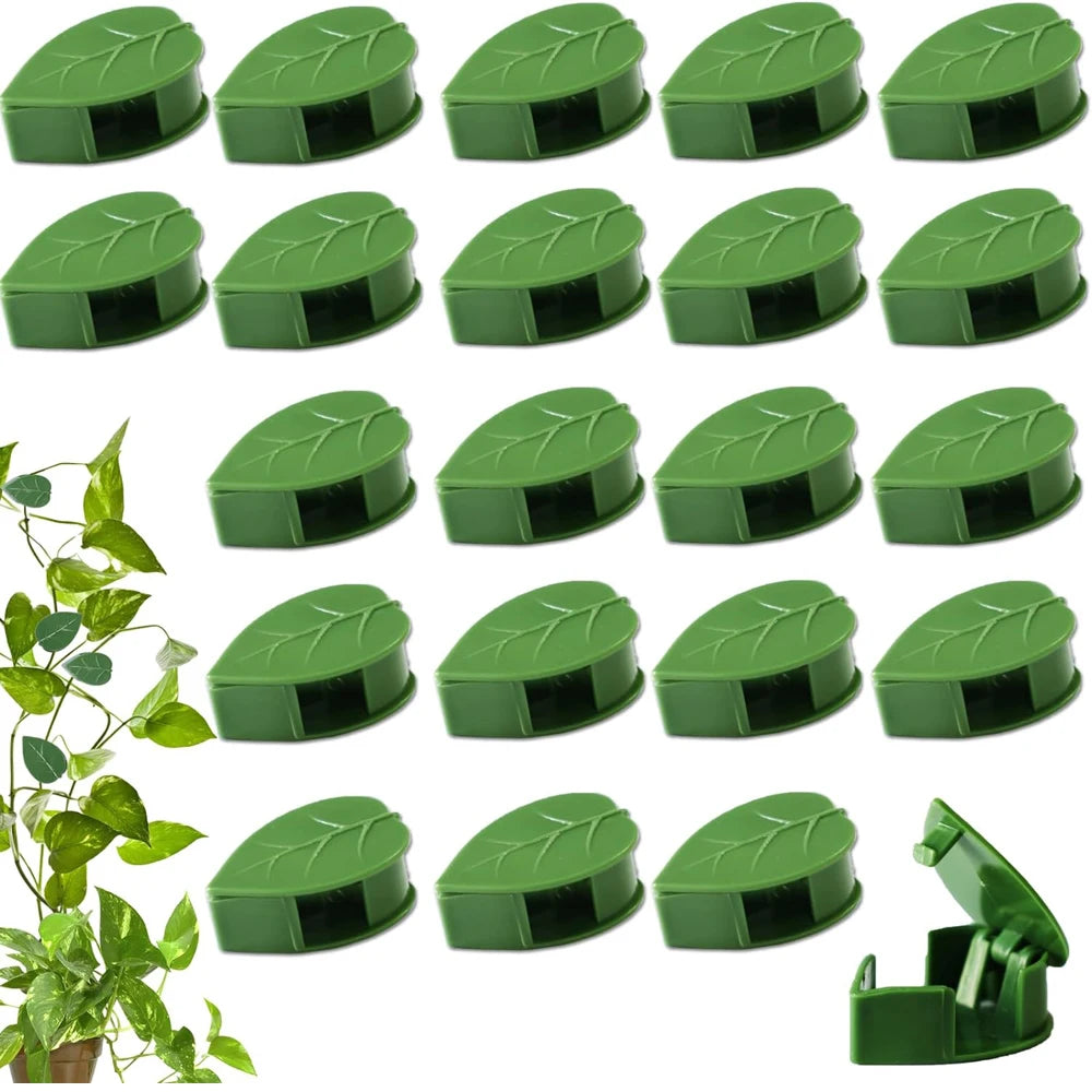 Invisible Plant Climbing Wall Fixture Clips 10-50Pcs — Plant Trellis