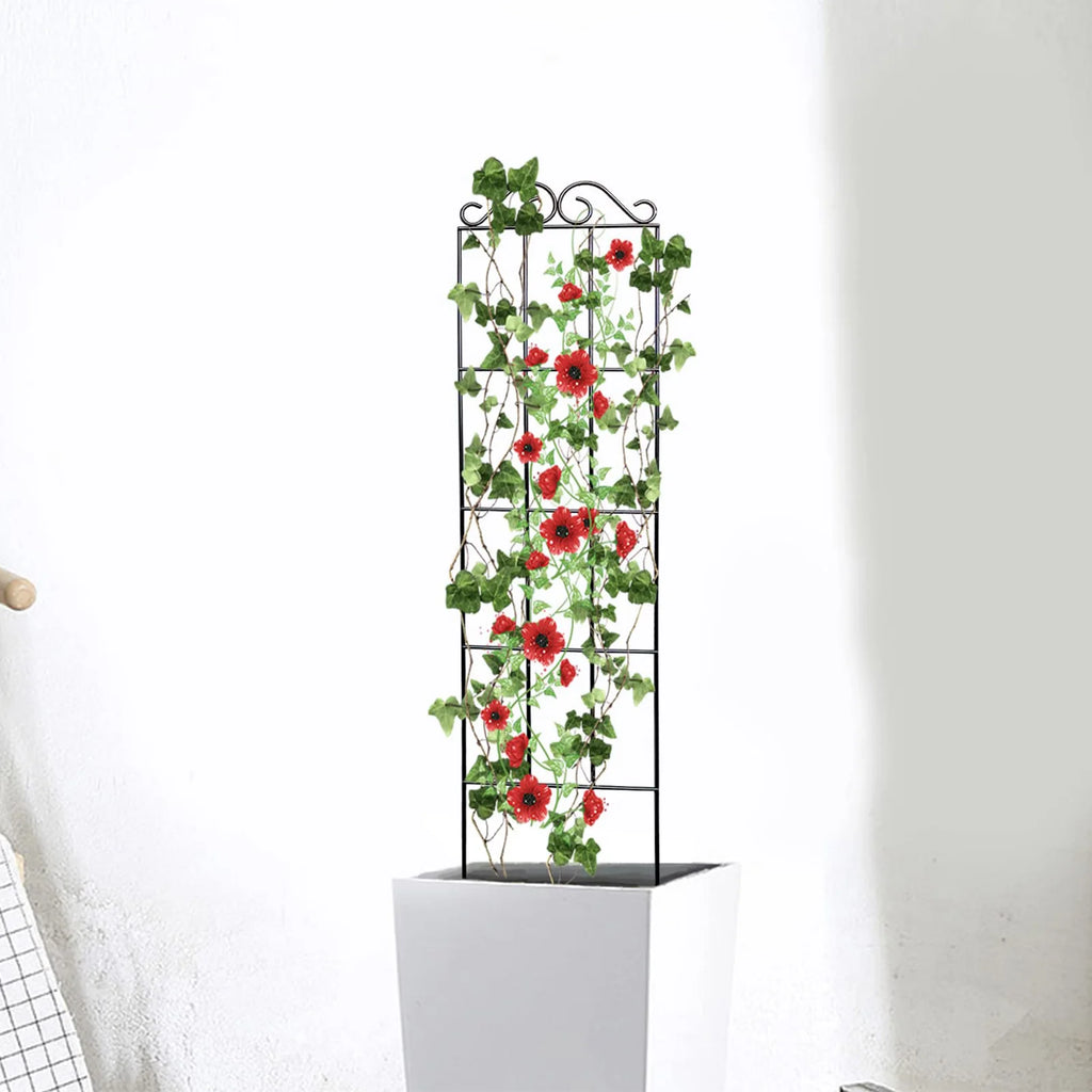 Plants Support Metal Trellis Black Iron Wire Vine