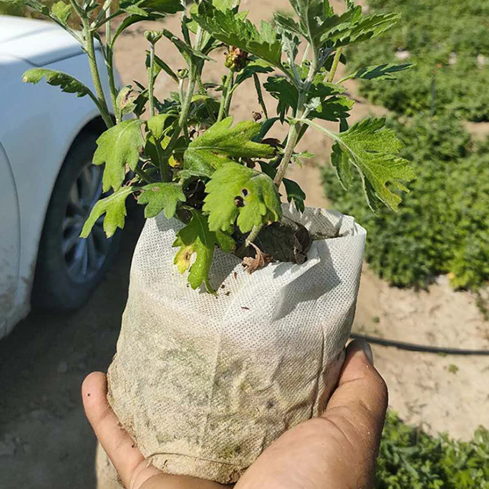 100-500Pcs Biodegradable Nursery Bag Plant Grow Bags