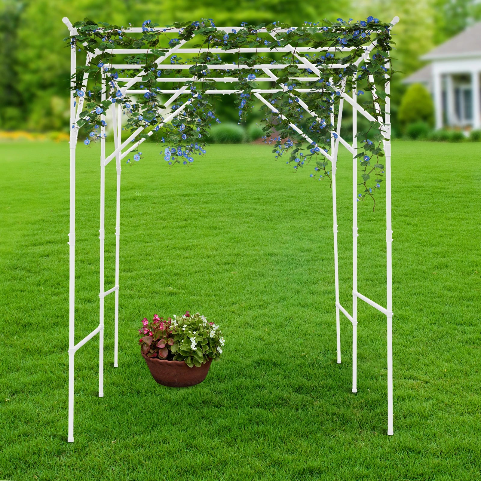Metal Walkway Arbor Pergola Grape Vine Trellis Garden