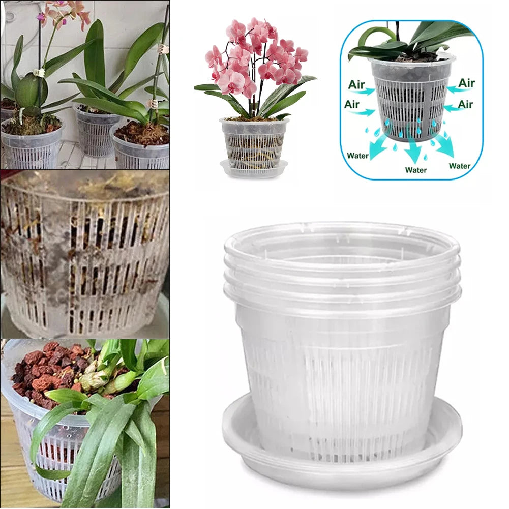 Clear Nursery Pots Garden Planting Pot Orchid