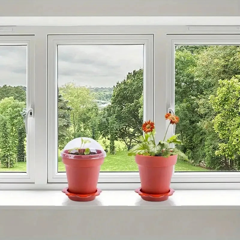 20Paper Cup Flower Pot with Humidity Cover
