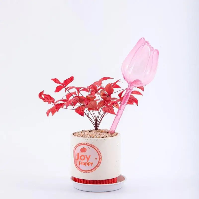 Stylish Plant Watering Solution Tulip Plant Watering Globes