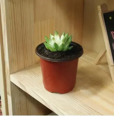 Flowerpot Plastic Grow Box Fall Resistant Tray