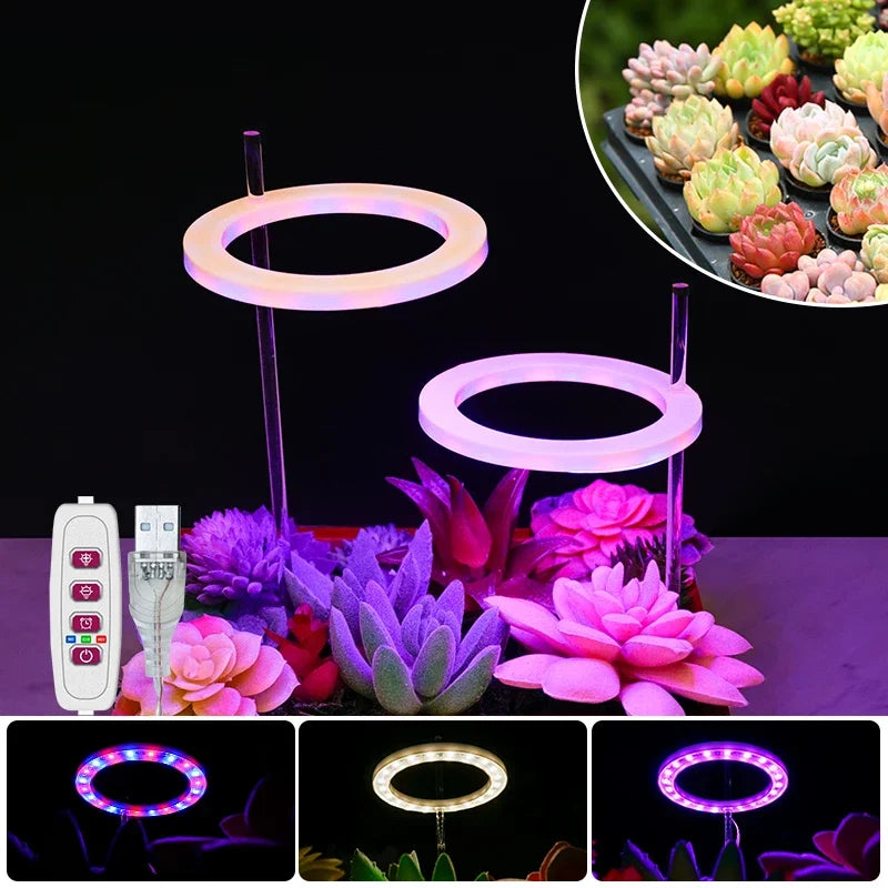 LED Ring Grow Lights Indoor Plants Full