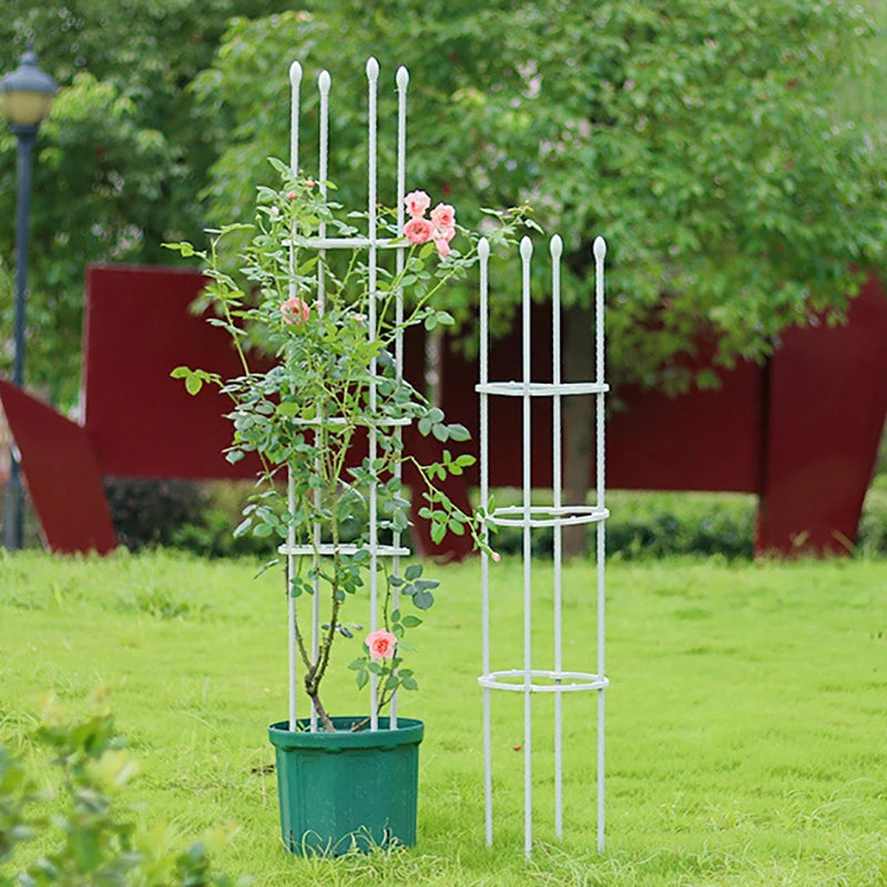 Plant Support Cages Tomato Cages For Climbing Plants