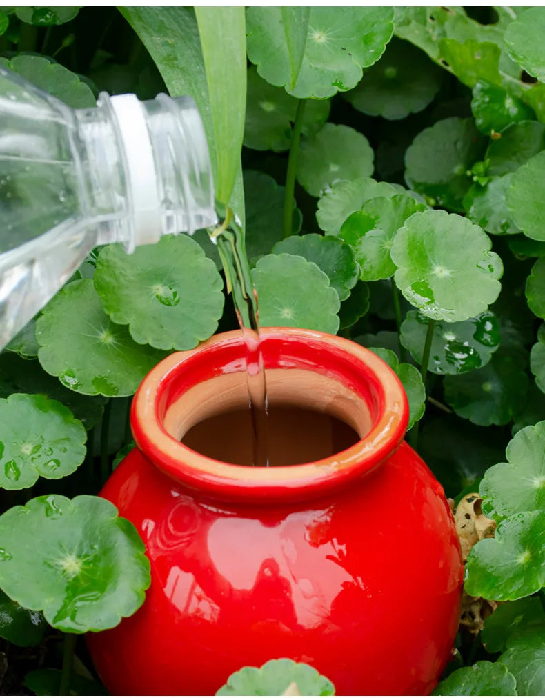 Watering Spikes — Self Watering Globes