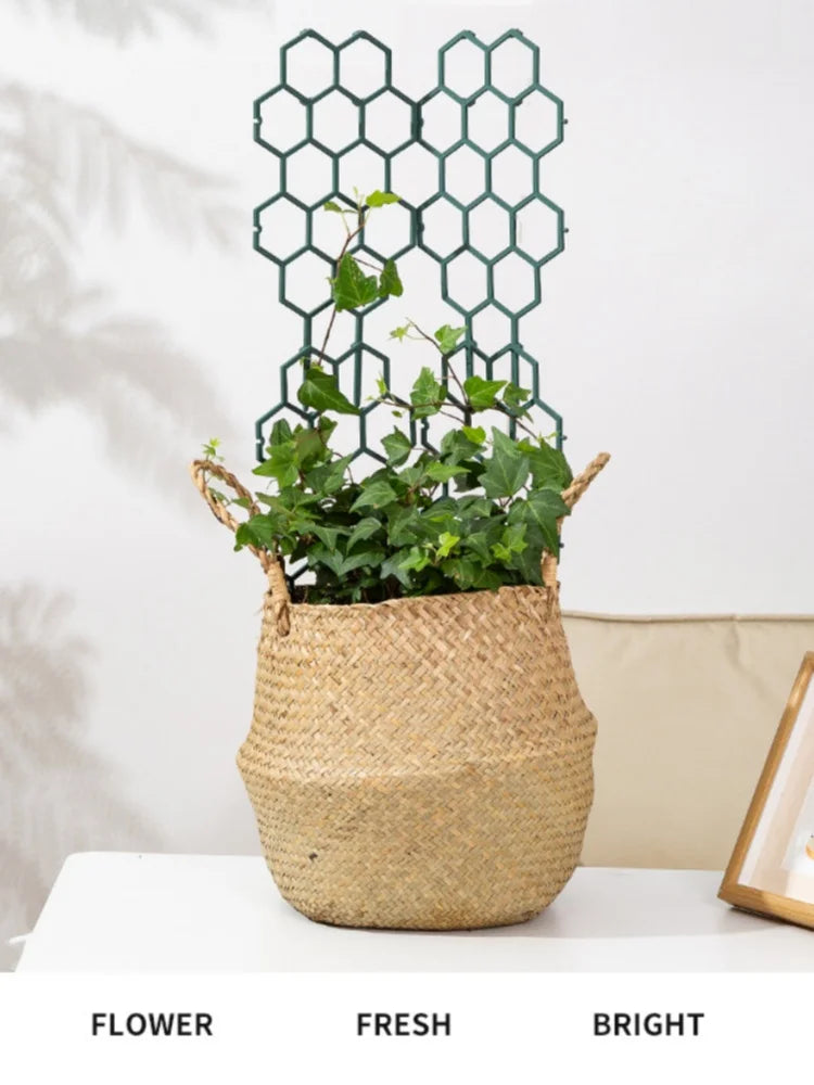 Honeycomb Design Plant Trellis Plastic Climbing Frame Indoor