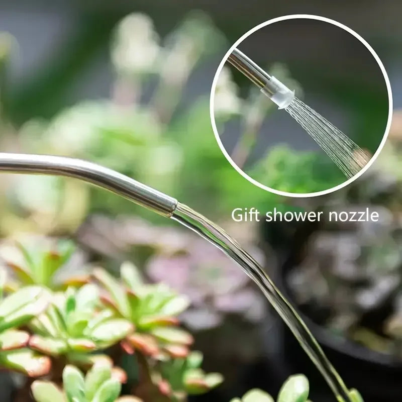 1L Long Spout Watering Can