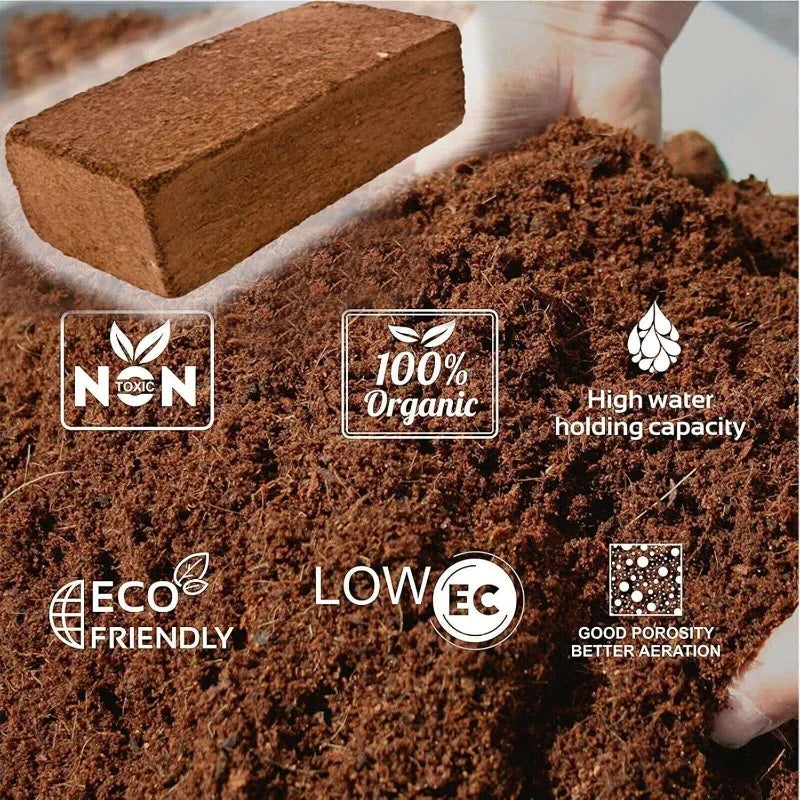 600g Top-Quality Organic Soilles Cultivation Nutrient Soil
