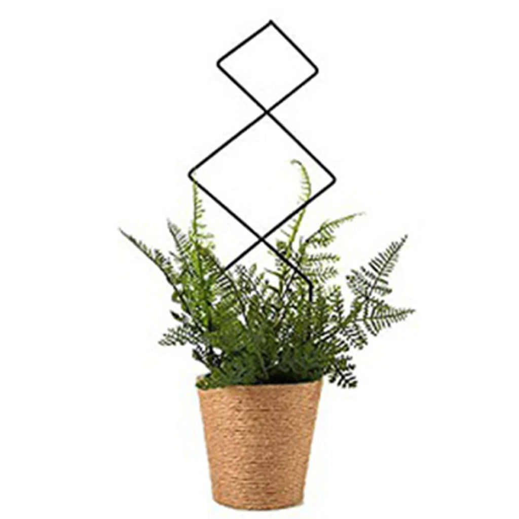 Climbing Plant Trellis Plant Support Garden Stake Stand
