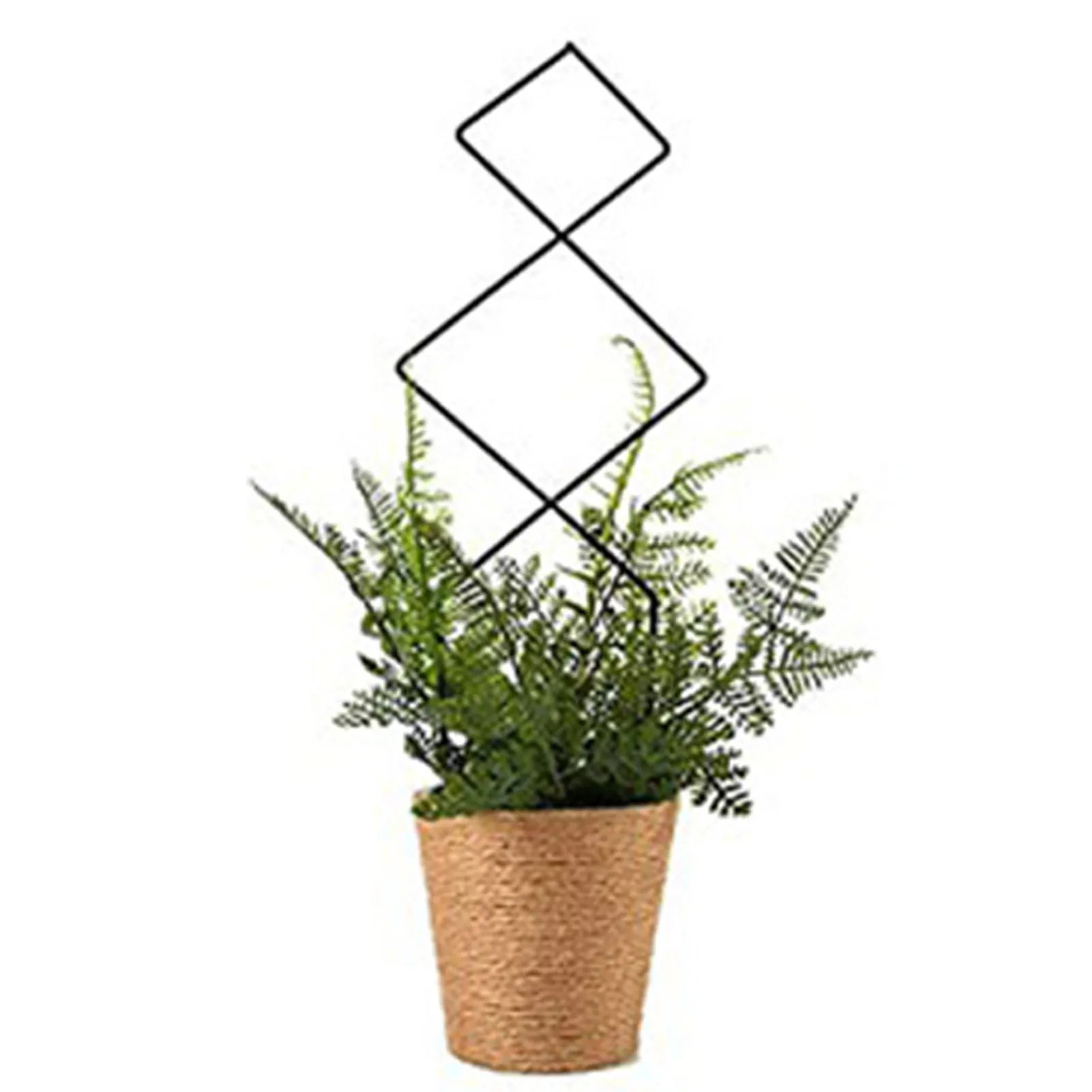Climbing Plant Trellis Plant Support Garden Stake Stand
