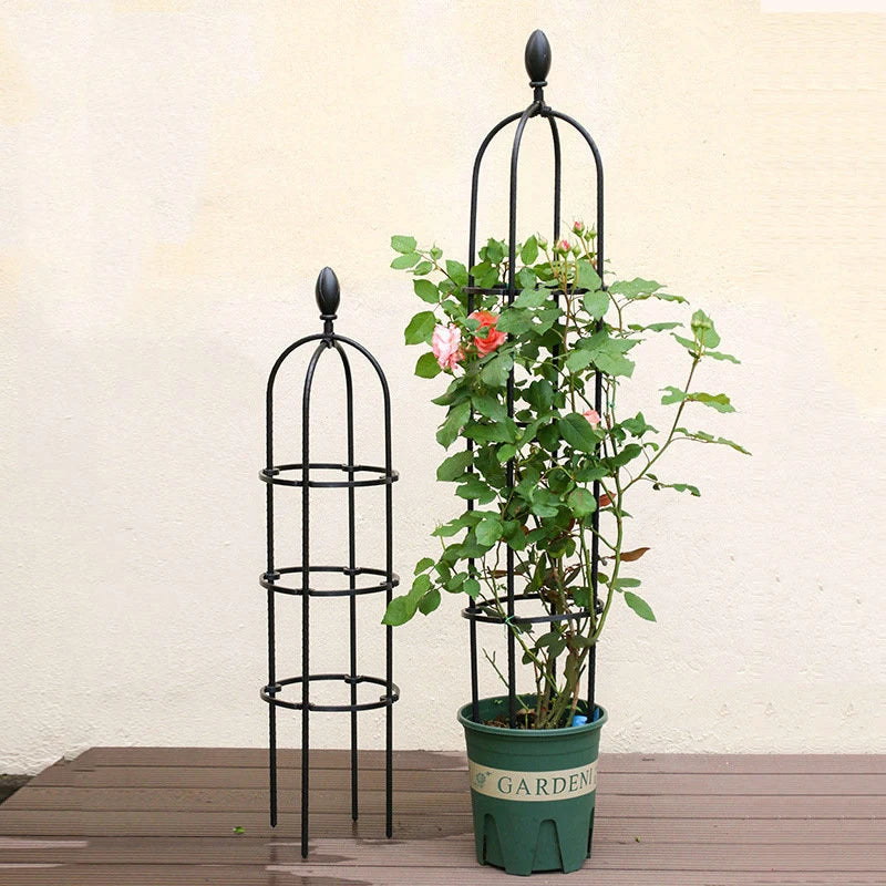 DIY Vines Pot Plant Stand Flowers Plants Climbing