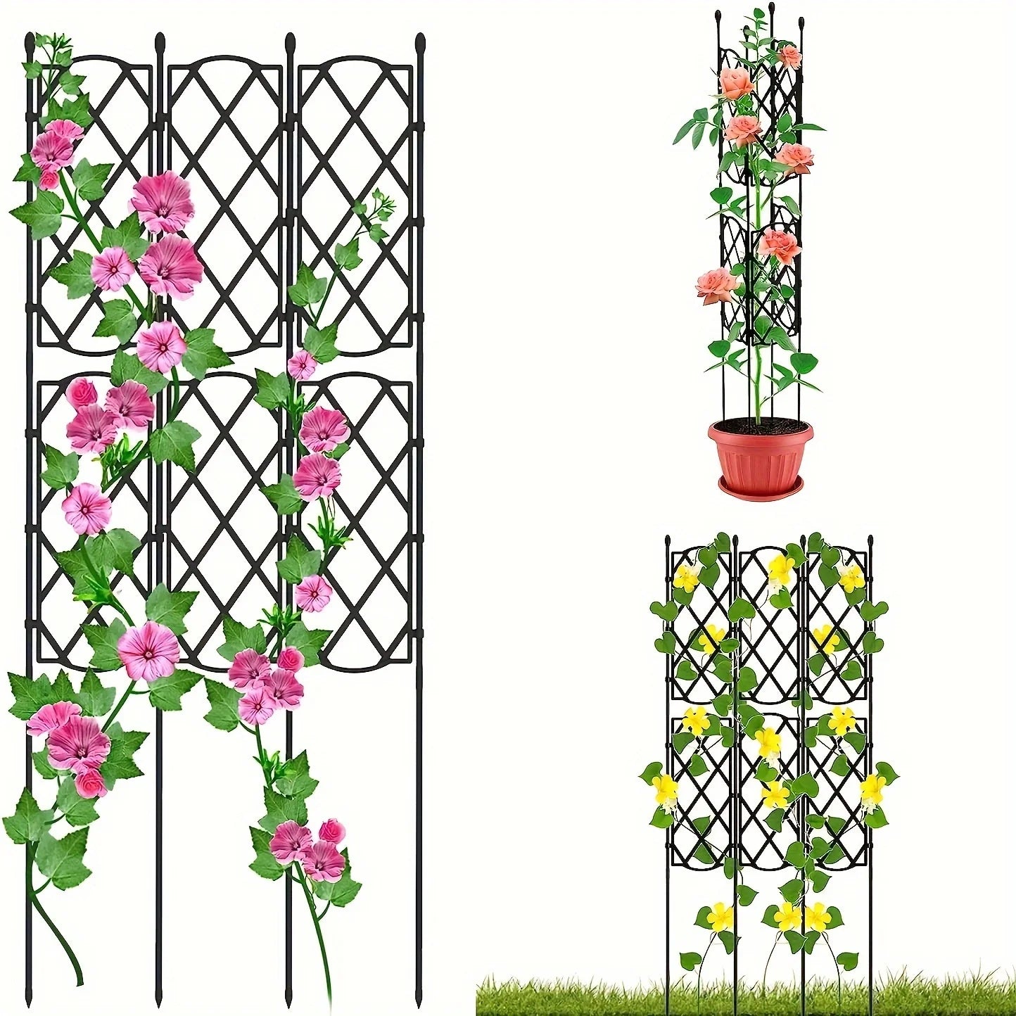 Garden Trellis For Climbing Plants