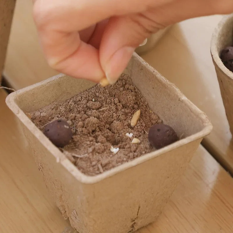 Biodegradable Garden Nursery Pots Pulp Seed Starter