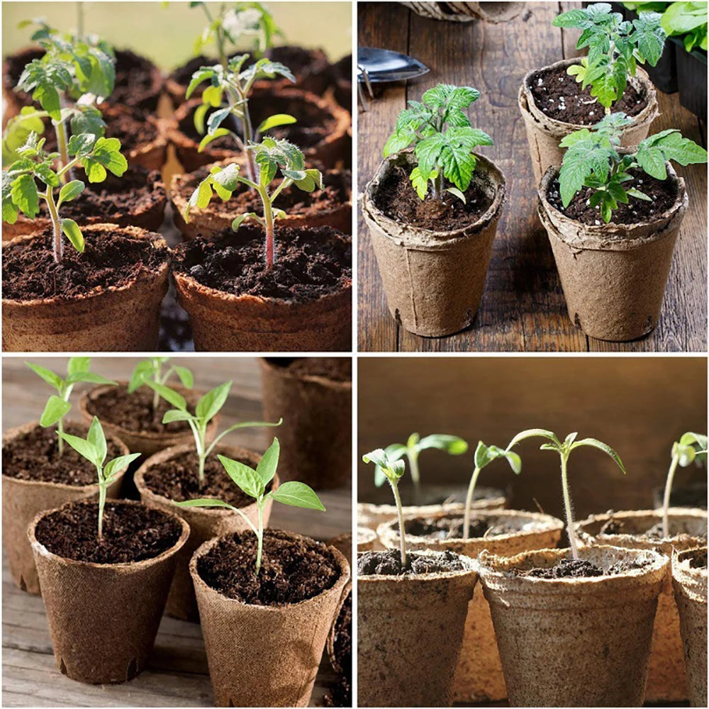 6/8cm Paper Pulp CultIvation Cup Biodegradable Seedling
