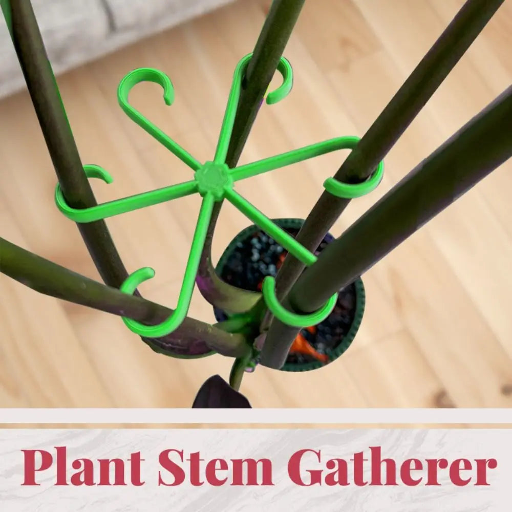 Reusable Plant Stem Folding Frame No Stake Trellis