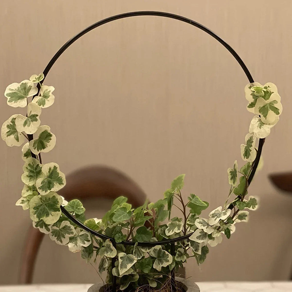 Garden Trellis Plant Iron Climbing Plant Support With
