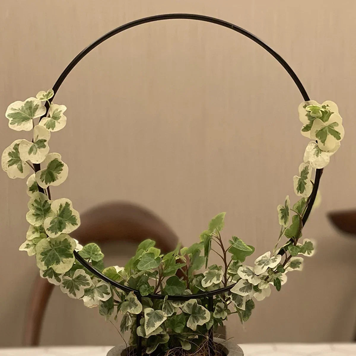Garden Trellis Plant Iron Climbing Plant Support With