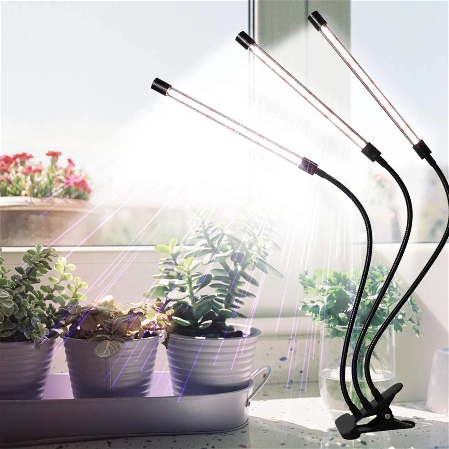 LED plant growth light