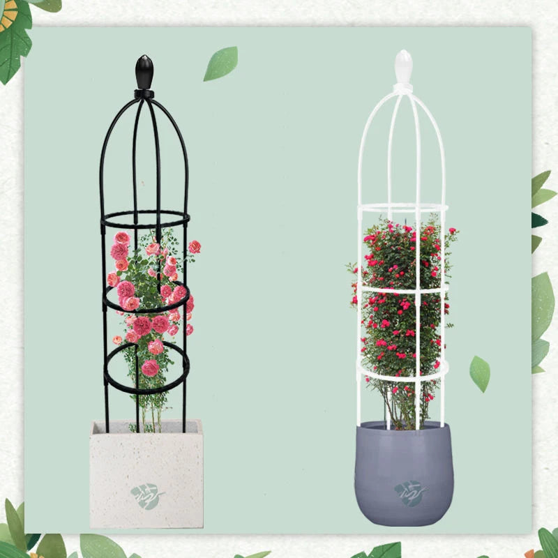 DIY Vines Pot Plant Stand Flowers Plants Climbing