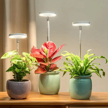 LED Grow Light Full Spectrum Plant Lamp