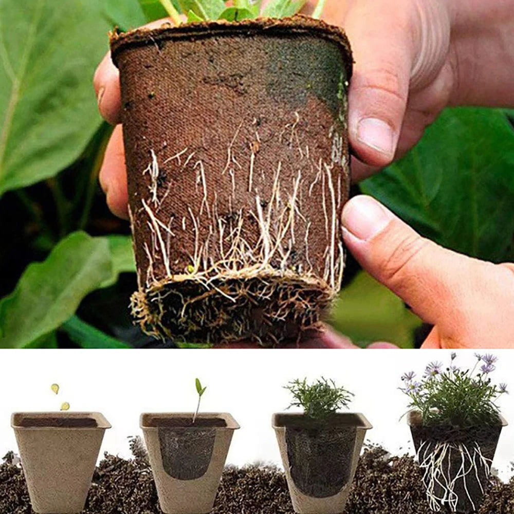 6/8cm Paper Pulp CultIvation Cup Biodegradable Seedling