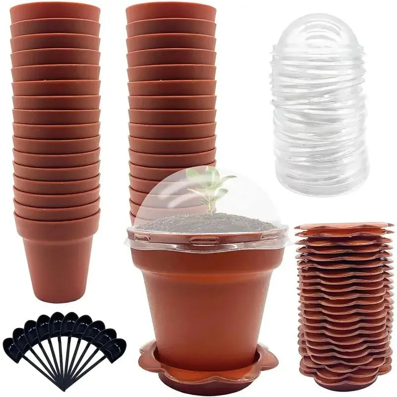 20Paper Cup Flower Pot with Humidity Cover