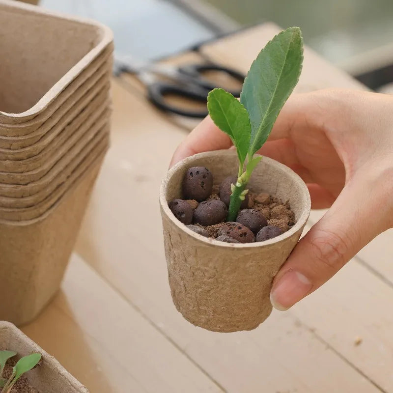 Biodegradable Garden Nursery Pots Pulp Seed Starter