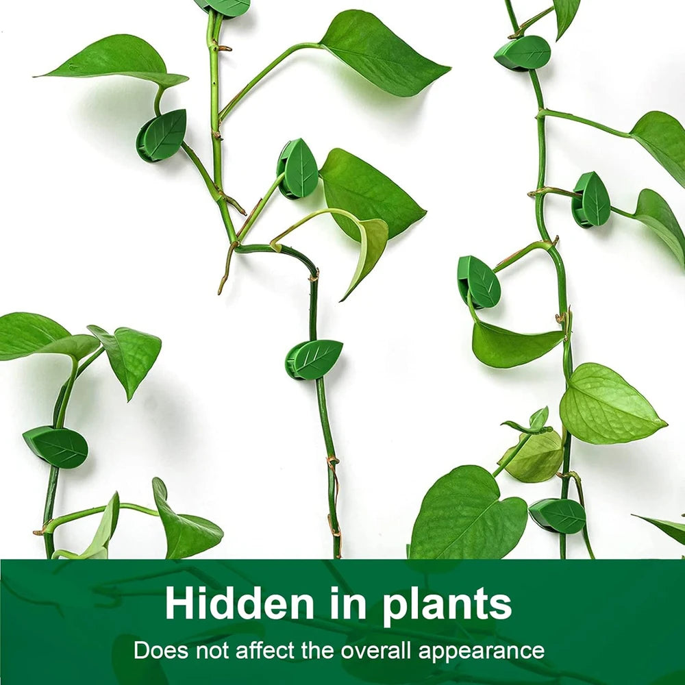 Invisible Plant Climbing Wall Fixture Clips 10-50Pcs — Plant Trellis