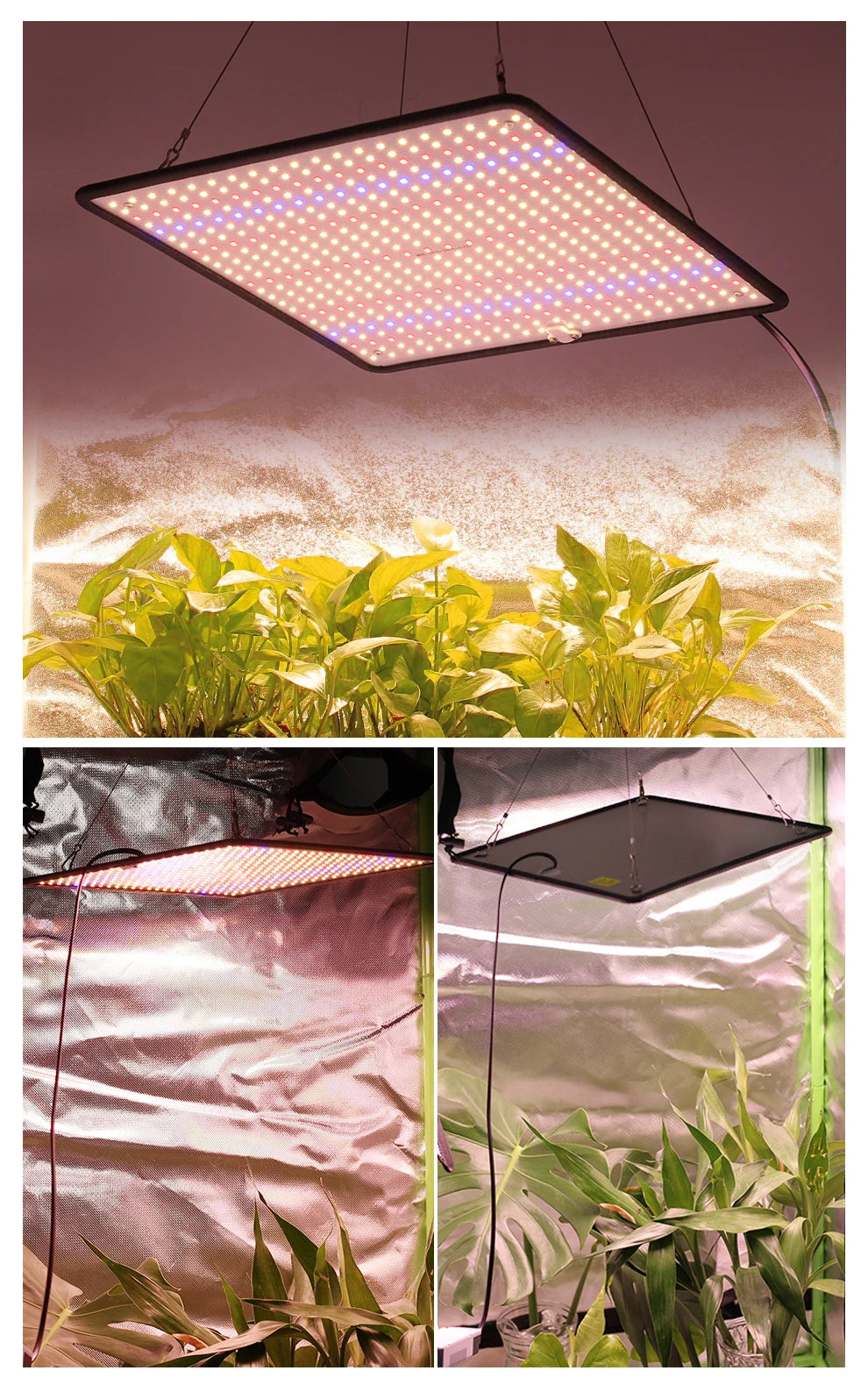 LED Grow Light Full Spectrum Phyto Lamp