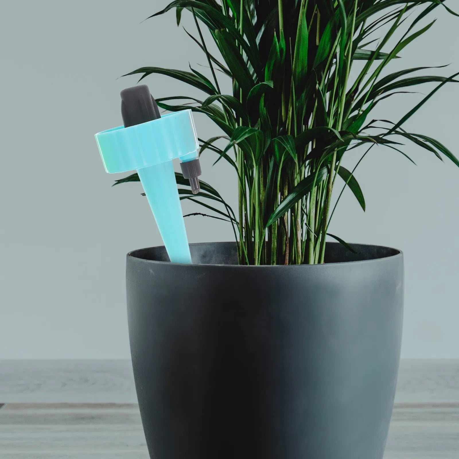 Automatic Plant Watering Globes Self Watering Spikes For