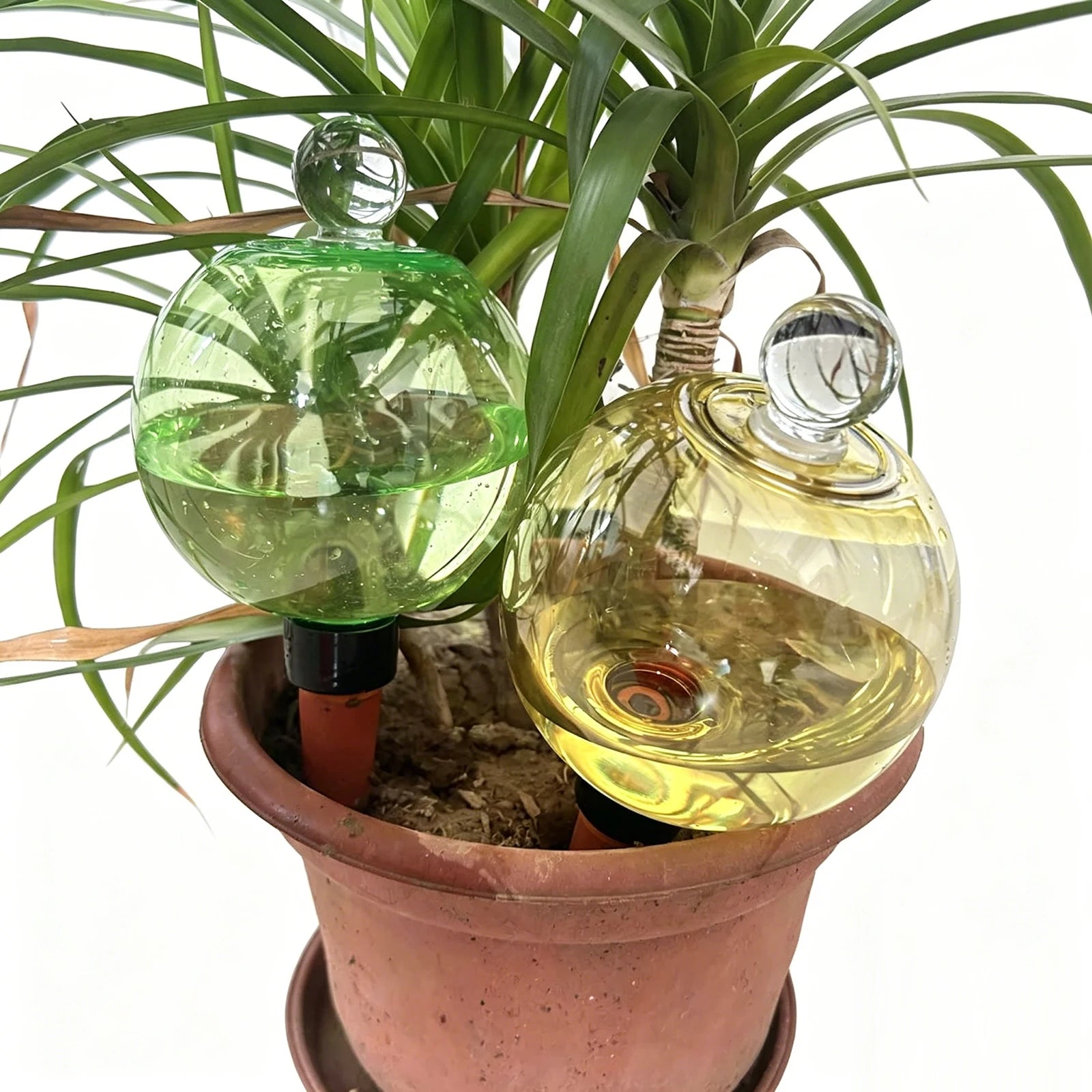 Self Watering Globes Top Fill Automatic Plant Watering