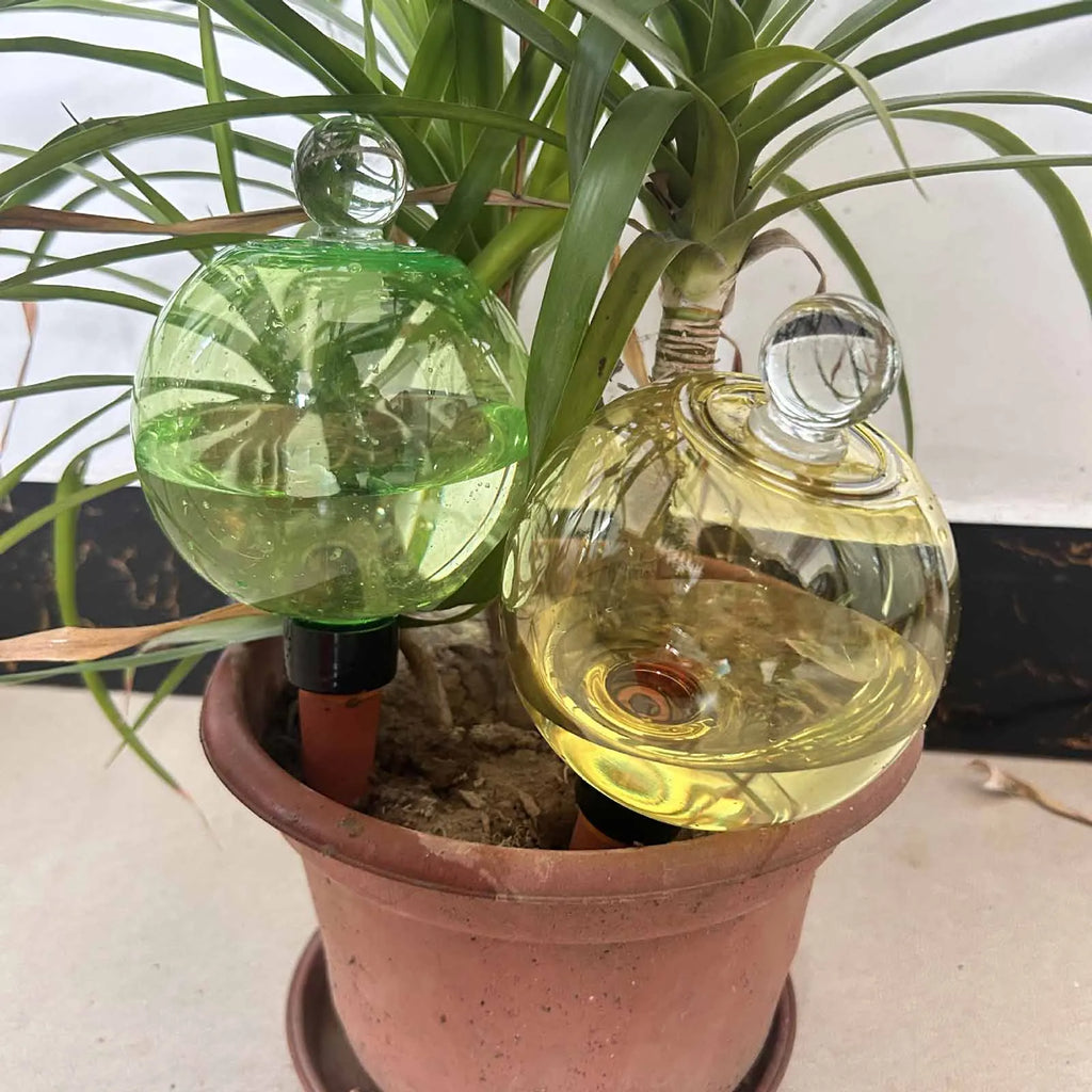 Self Watering Globes Top Fill Automatic Plant Watering
