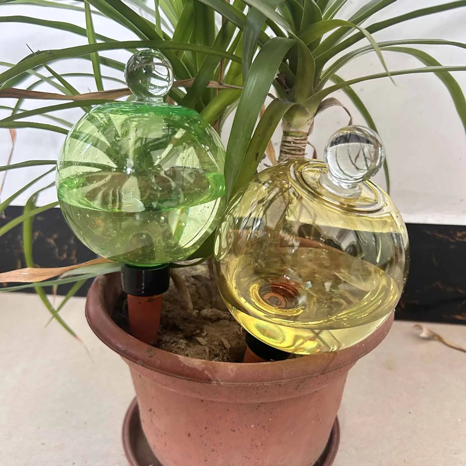 Self Watering Globes Top Fill Automatic Plant Watering