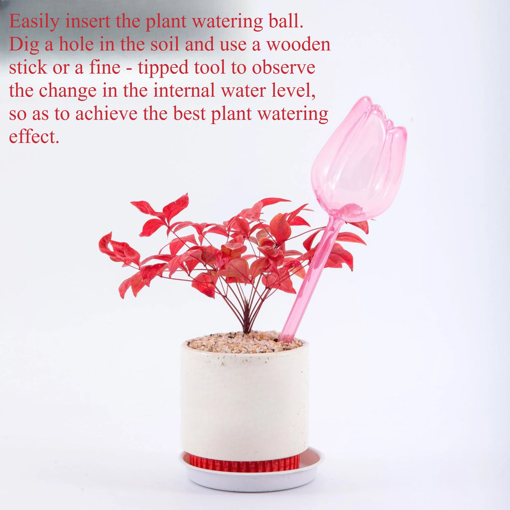 Stylish Plant Watering Solution Tulip Plant Watering Globes