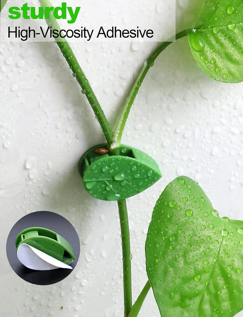 Invisible Plant Climbing Wall Fixture Clips 10-50Pcs — Plant Trellis