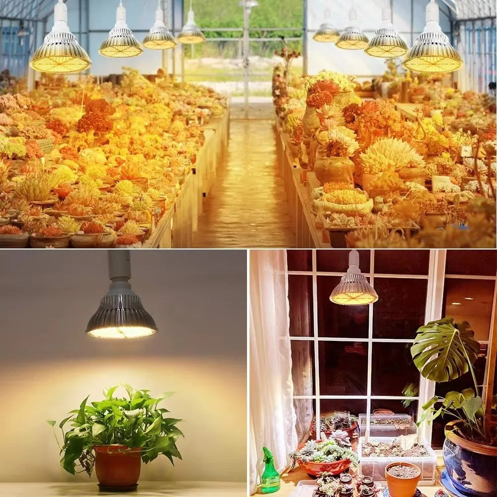 LED Full Spectrum Warm E27 Plant Light