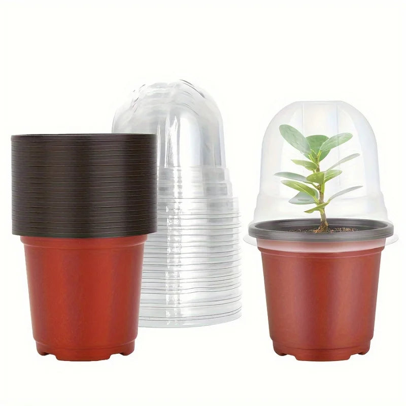 Plant Nursery Pot