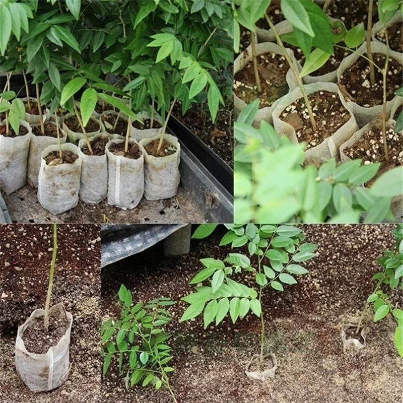 100-500Pcs Biodegradable Nursery Bag Plant Grow Bags