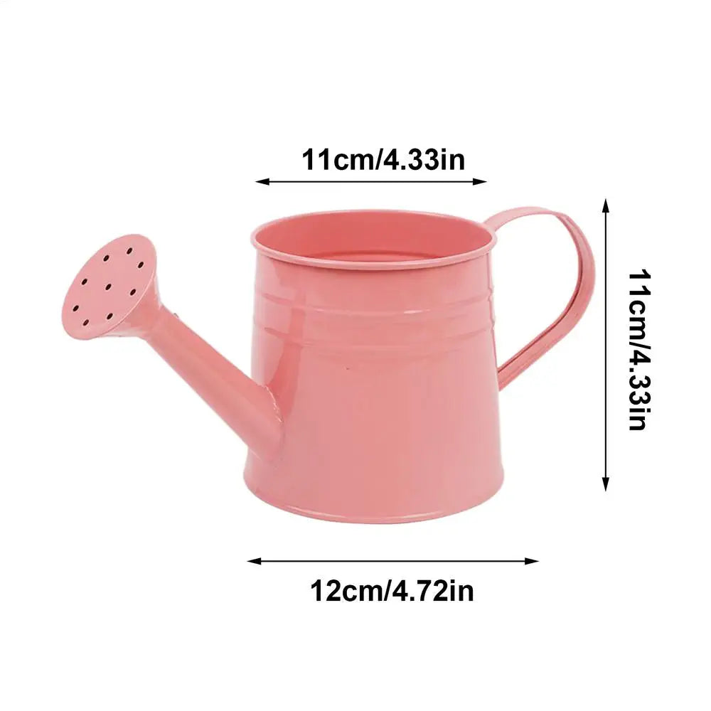 Small Watering Can For Indoor Plants 1L Long