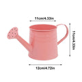 Small Watering Can For Indoor Plants 1L Long