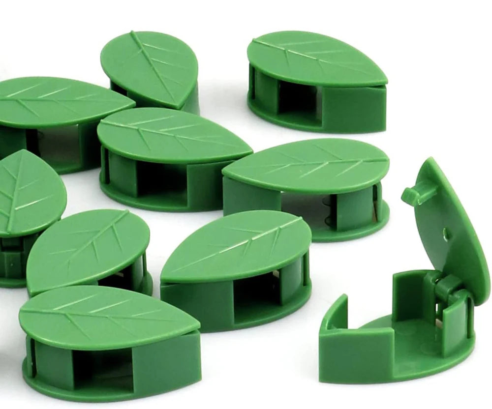 Invisible Plant Climbing Wall Fixture Clips 10-50Pcs — Plant Trellis