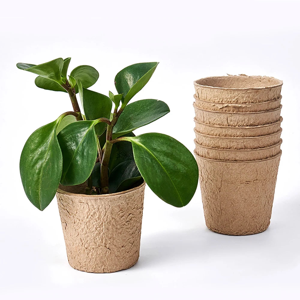 6/8cm Paper Pulp CultIvation Cup Biodegradable Seedling