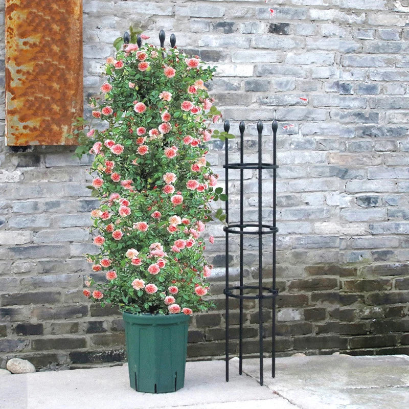 Plant Support Cages Tomato Cages For Climbing Plants