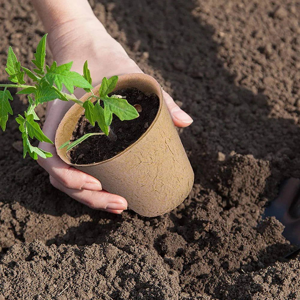 6/8cm Paper Pulp CultIvation Cup Biodegradable Seedling